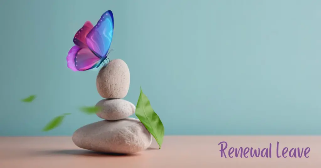 multi-colored butterfly on top of three stones
