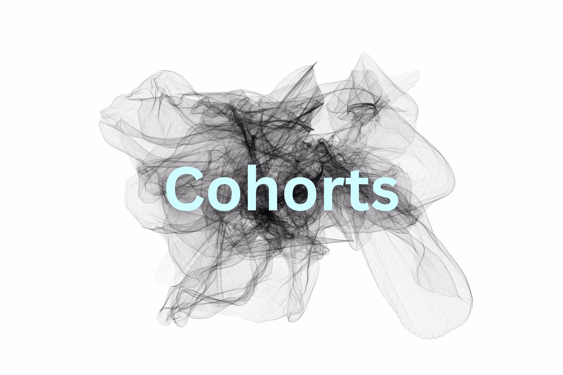 2025 Cohorts (2)